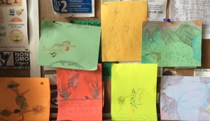Farm Camp Bird Adaptations Drawings