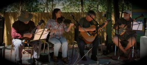 Stray dogs string band