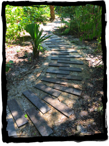 Native Plant Trail in Progress
